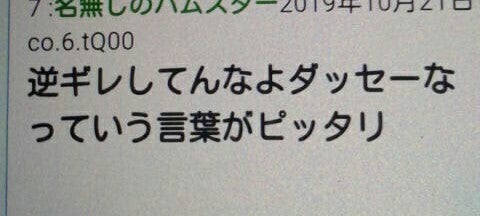 IMG_20191022_065319.jpg