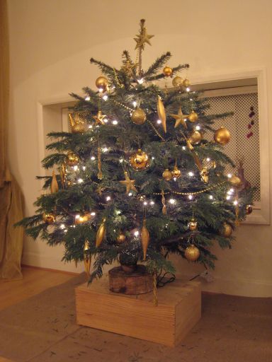 我が家の巨大クリスマスツリー Wo Londonのブログ