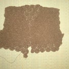 令和元年10月、カスパリー編み応用、梅鉢草１１模様のセーターの作り方の記事より