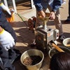 椿油の製造体験の画像