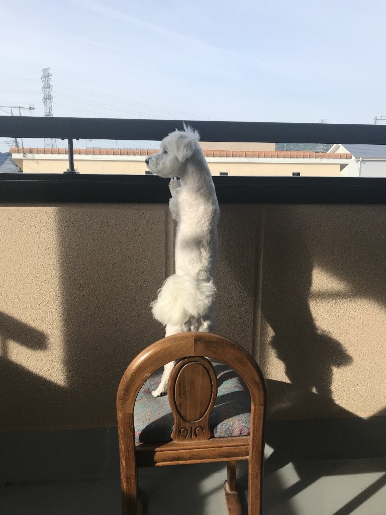 のぞきの記事画像
