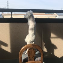 ブログ投稿画像