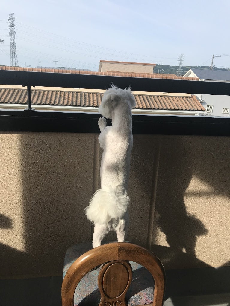 のぞきの記事画像