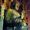 朝から奈良の大仏❤️の画像