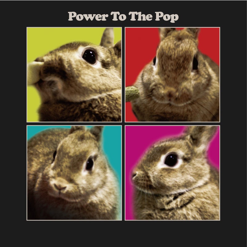 BeatleDNAコンピ『Power To The Pop』収録曲徹底紹介 HIGH-HOPES（洋楽ロック）