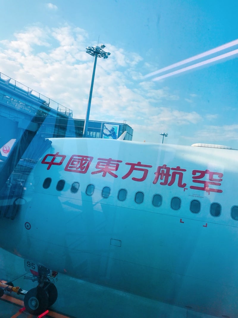飛行機 中国 「飛行機に乗らなかった」乗客1人、中国機の墜落事故から免れる