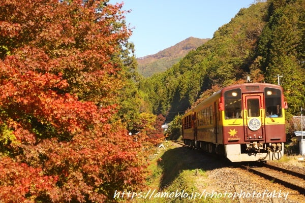 FukkyのPhotoPhoto日記わたらせ渓谷鐵道の秋