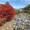 鏡野町「奥津渓」の紅葉は凄かったの画像