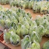 「円城白菜」は最強の白菜の画像