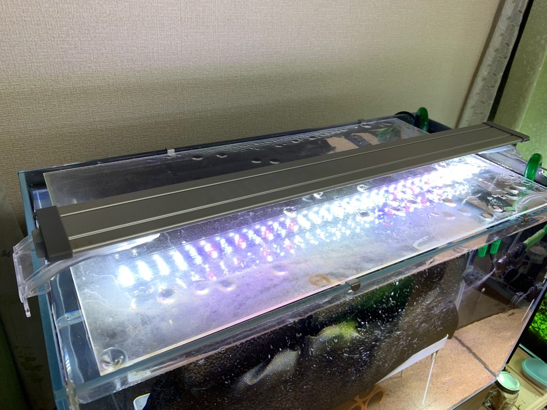 印象のデザイン900x450x450 ADA水槽 濾過 LED照明 その他 魚用品/水草 その他￥26,680-ugel03-tno.gob.pe