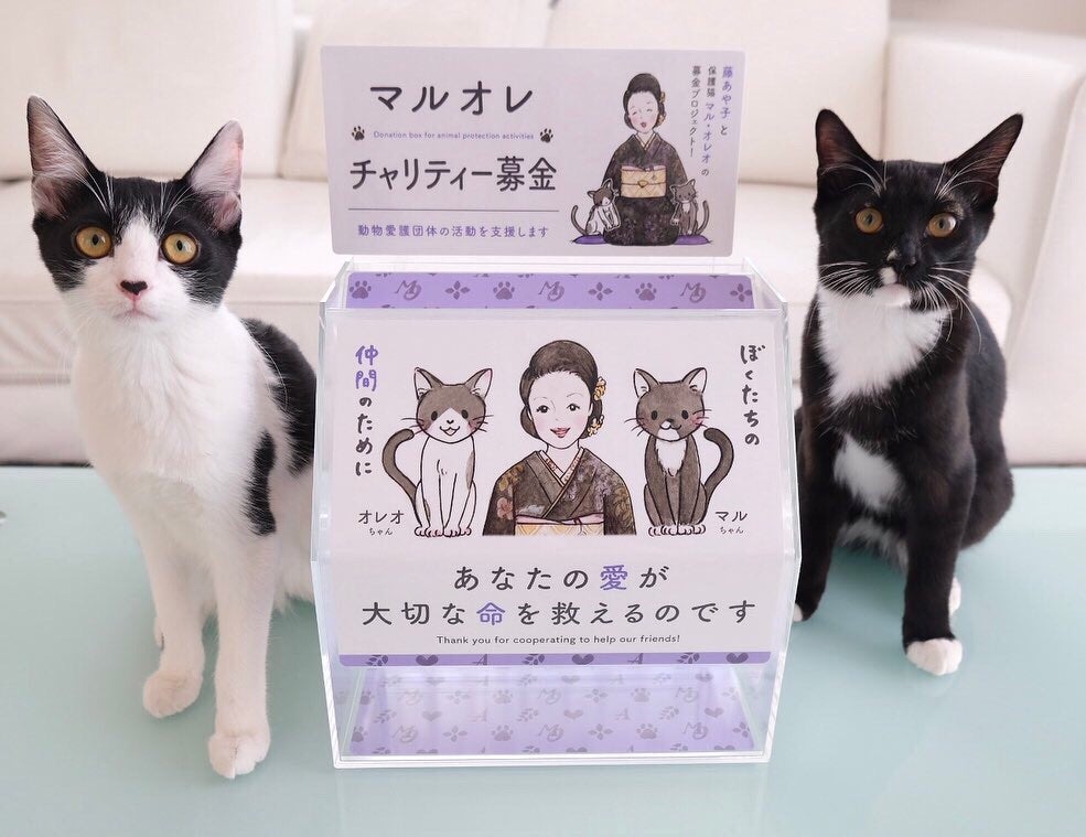 マルオレチャリティー募金箱 藤あや子オフィシャルブログ あや子日記 Powered By Ameba