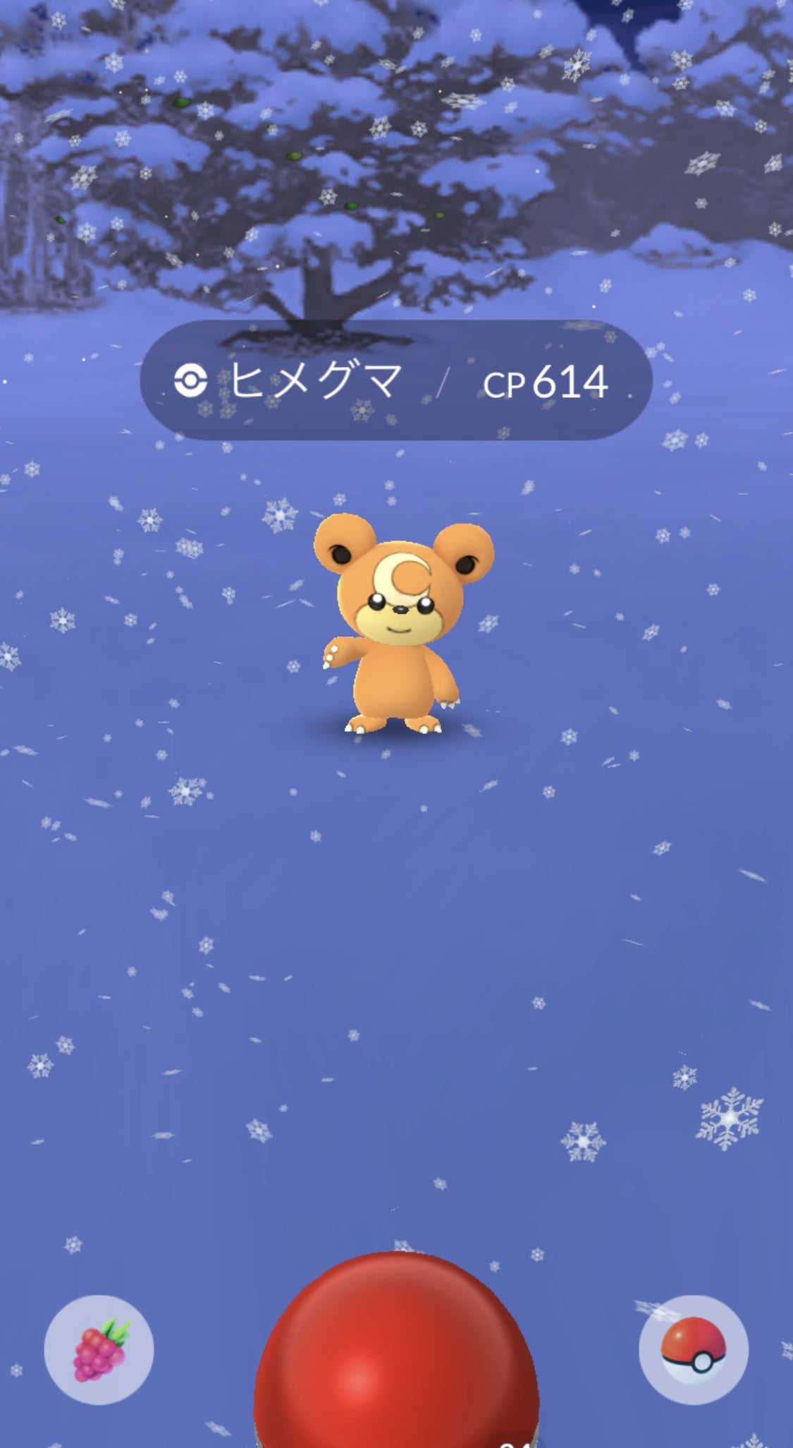 ヒメグマ かわいい 最高のイラストと図面