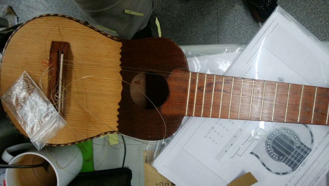 珍品?チャランゴ(アルマジロ) | cheap-guitar-kingのブログ 珍品?チャランゴ(アルマジロ) | cheap-guitar-kingのブログ