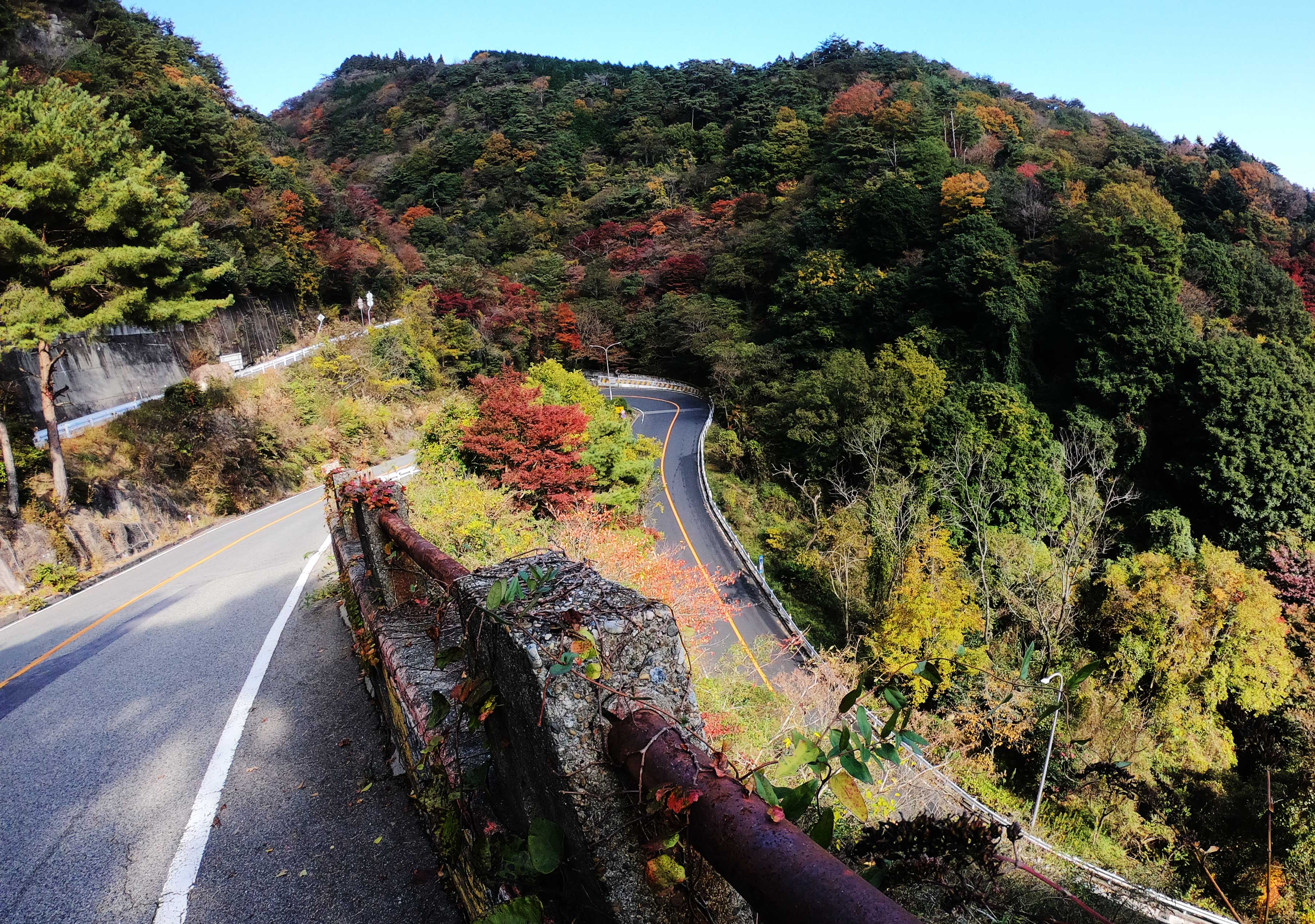 ソーシャルクラブバイクフィットのブログイーバイクで六甲山(表六甲ドライブウェイ~サンライズドライブウェイ)