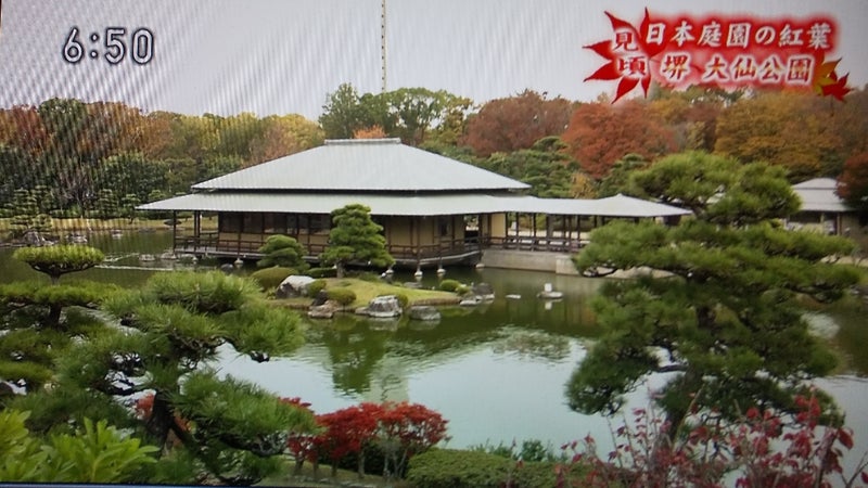 見頃 日本庭園の紅葉 堺市大仙公園 ジョナサンの備忘録
