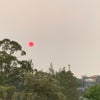 真っ赤な太陽とスモークヘイズの画像