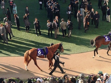 有馬記念に行ってきました オルフェーヴル ラストラン 康介の毎日