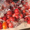 トマト直売開始の画像