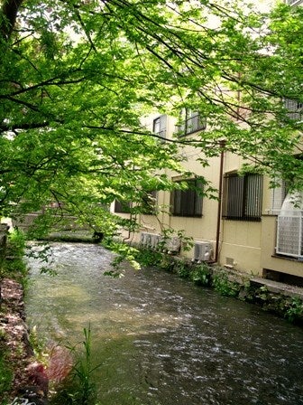 KYOTO  Ⅱの記事画像