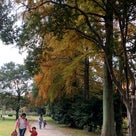 庄内緑地公園の紅葉に興奮☆写真撮りすぎたのは、ママと子どもの笑顔がすてきだったからだよ☆の記事より