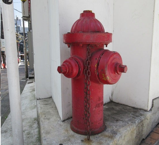 アメリカ製地上式消火栓のオブジェ | 路上文化遺産と消火栓