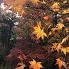 ご縁があって導かれていく☆の画像