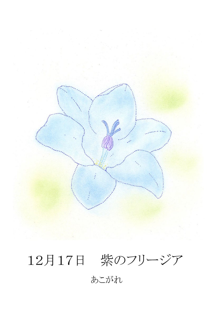 １２月１７日誕生花 紫のフリージア 鞠緒美沙樹