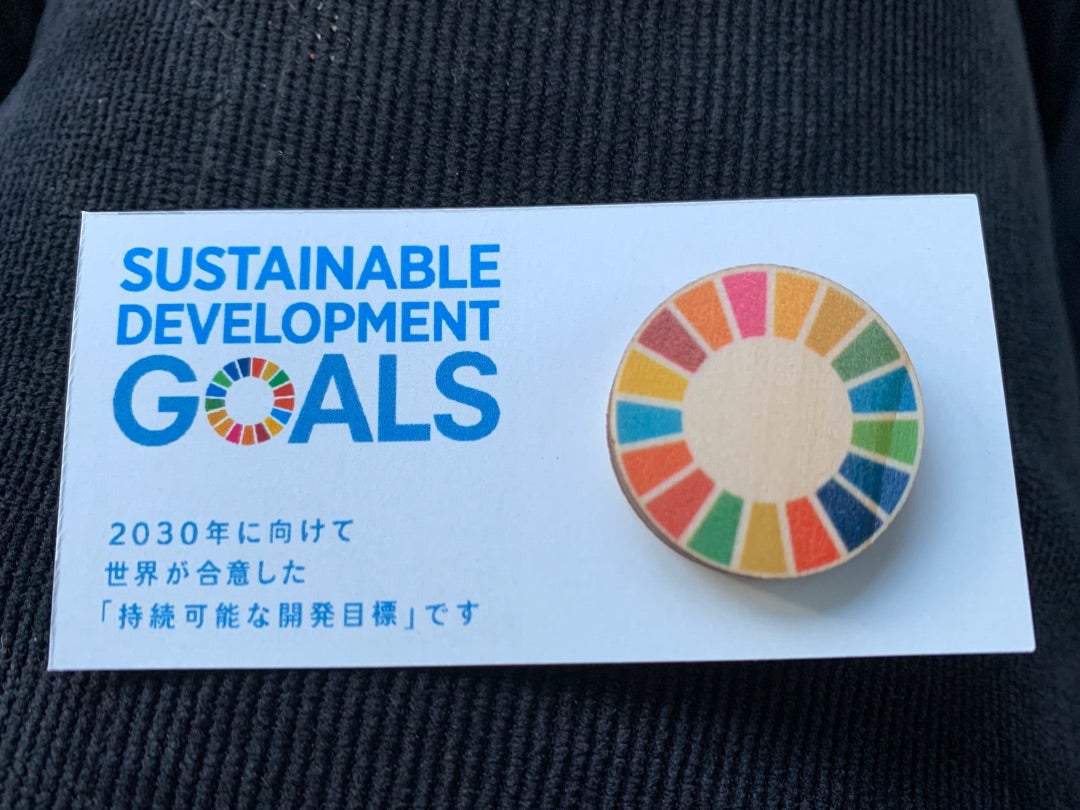 SDGs バッジ (10個セット) SDGsバッチ ピンバッジ ピンバッチ 国連 UN バッヂ 国連本部最新仕様 Sdgs エスディージーズ ピンバッヂ  シルバー 銀 表面に丸みのあ コレクション