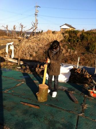 シラカシを割ってみる | 薪ストーブは人生を楽しむためにある