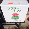 シクラメンとネギの画像