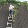 地元の除草剤散布の画像