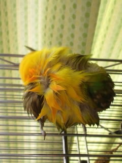 洗面所が好きですの記事画像