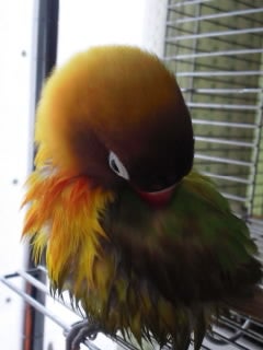 洗面所が好きですの記事画像