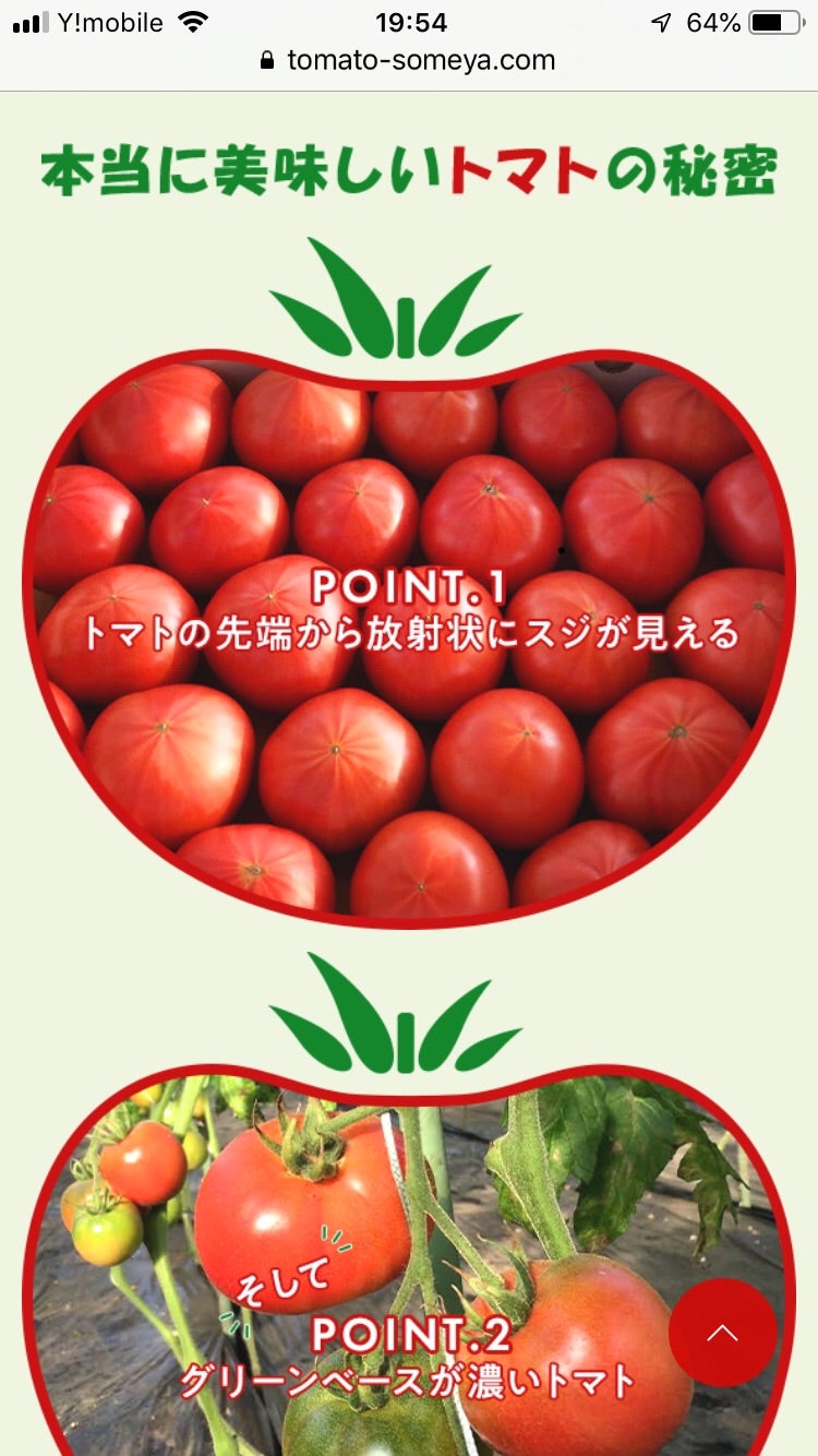日本在庫・即発送 tomato＊様専用 ぬいぐるみ