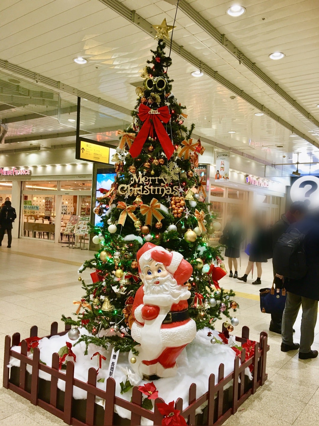 長木ステップ・AS・A 12月☆