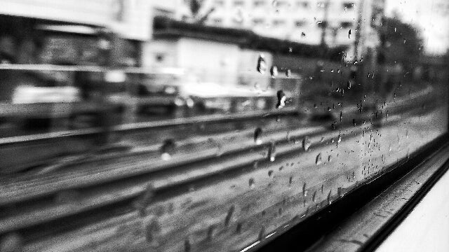 今日は雨の記事画像