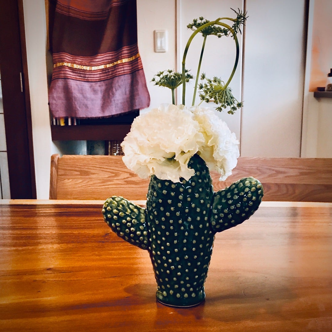 サボテンの花瓶 わんことおうちとつるバラと