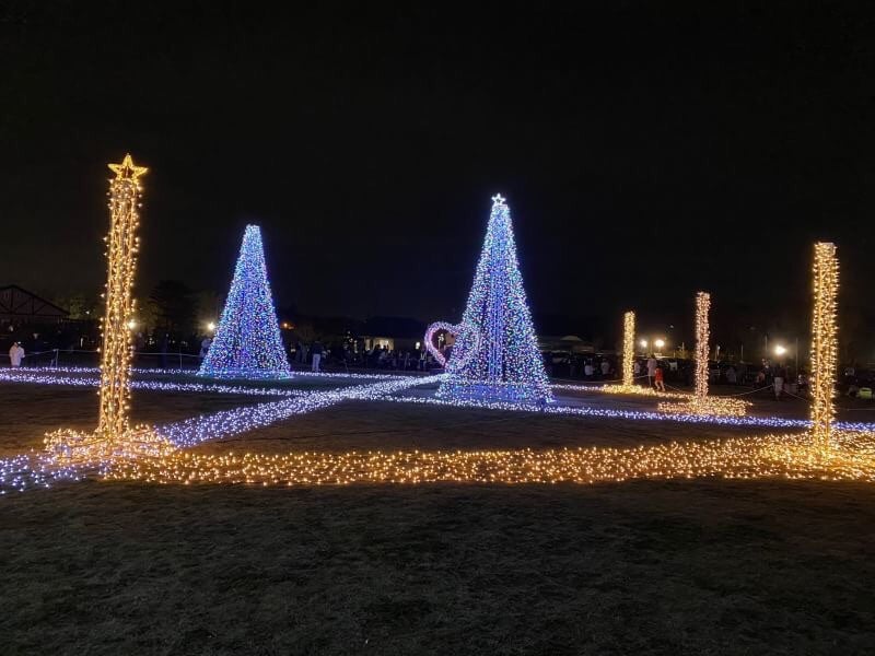 アンデルセン公園クリスマスイルミネーションを見に行ってきました Y S Kids English 千葉県鎌ヶ谷市 船橋市のこども英語サークル
