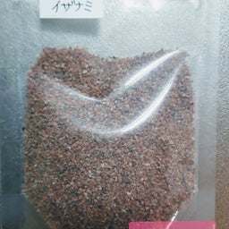画像 羽化する身体 の記事より 2つ目