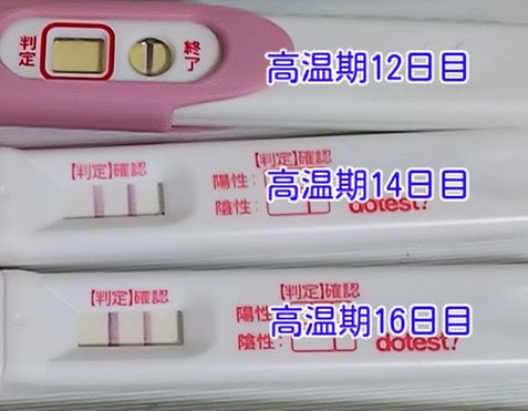 妊娠検査薬 陰性 双子