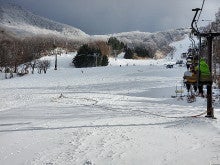 県 連盟 山形 スキー