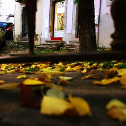 画像 Pics of Portugal ～ポルトガル、サウダーデ（郷愁）の記録～ の記事より 3つ目