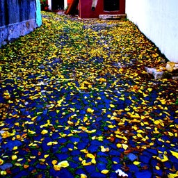 画像 Pics of Portugal ～ポルトガル、サウダーデ（郷愁）の記録～ の記事より 1つ目