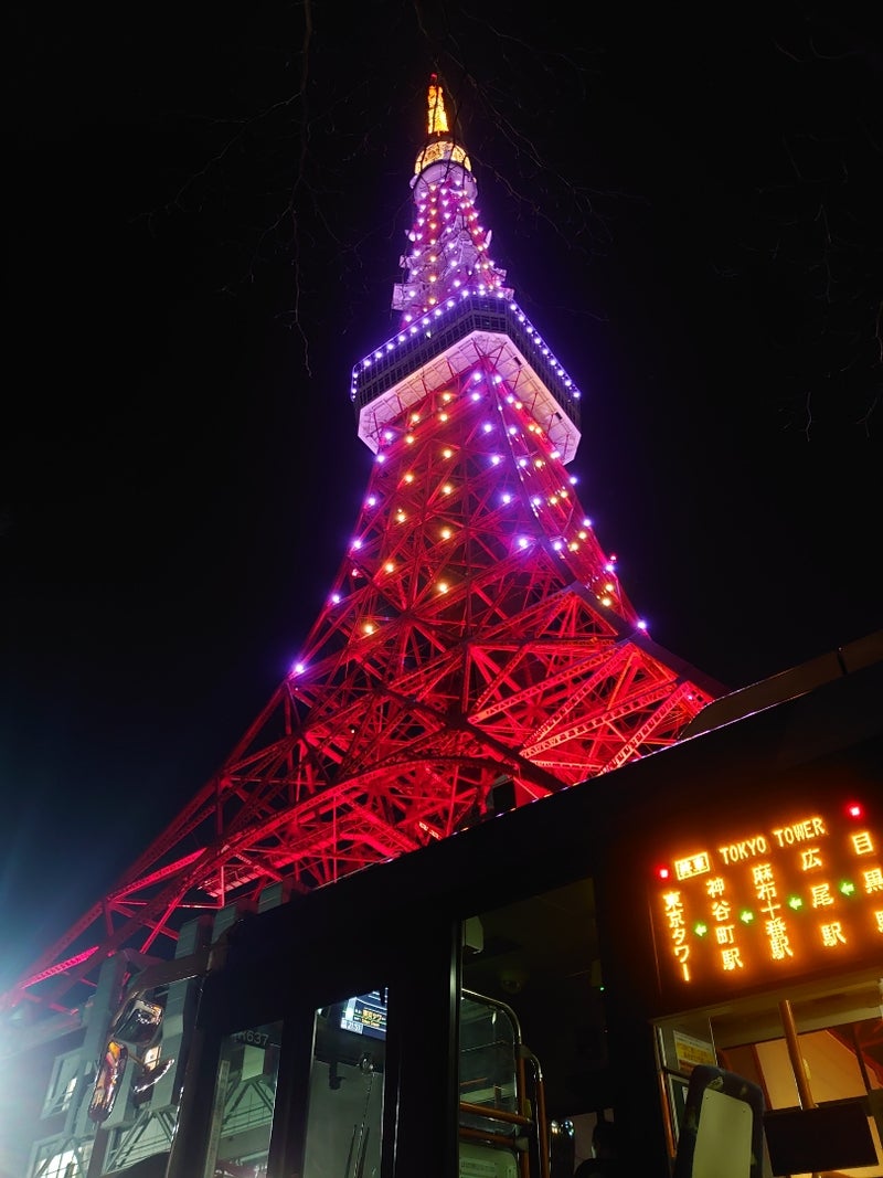 1 1 東京タワー 元日 ゆき坊のブログ