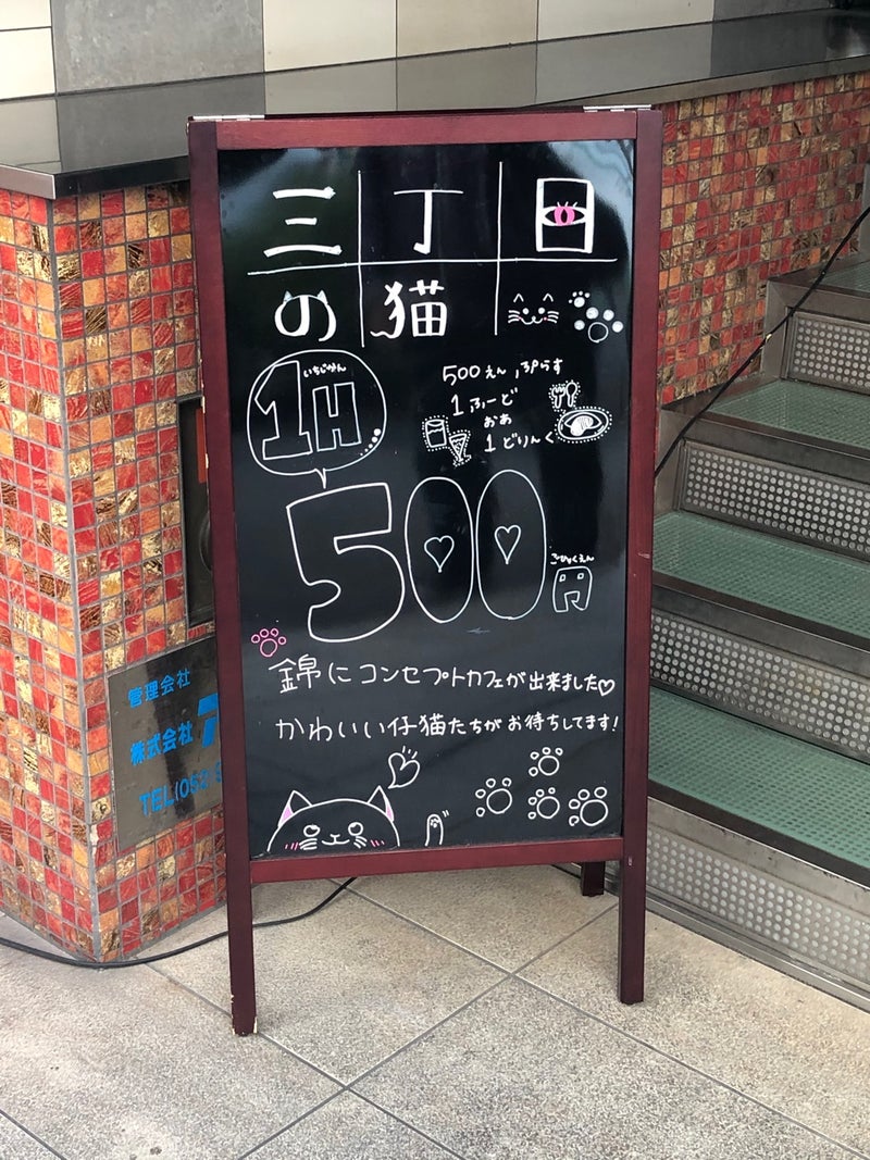 1月3日 名古屋の栄にあるコンセプトカフェ 三丁目の猫 初帰宅 桃太郎のカフェ巡り日記