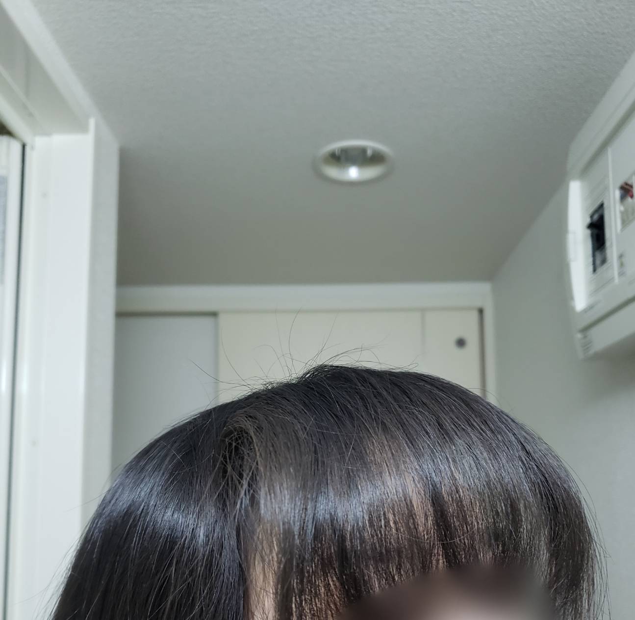 WEB限定カラー 前髪ヘアロール 1個 ヘアロール 前髪ロール 韓国コスメ