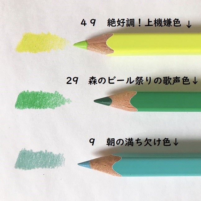 フェリシモ５００色色鉛筆 TOKYO SEEDS | 塗り絵と色鉛筆♪