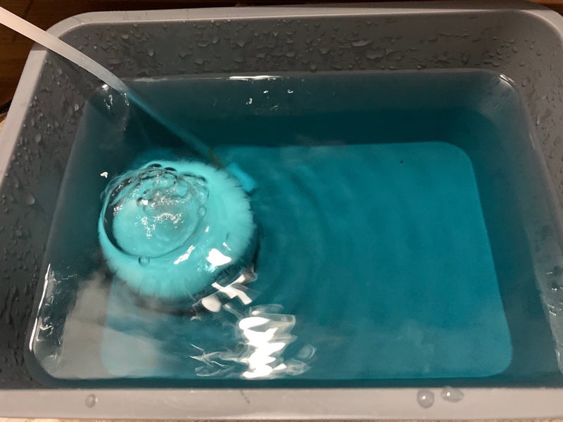 薬浴ブルー | 小型水槽でスイミング☆
