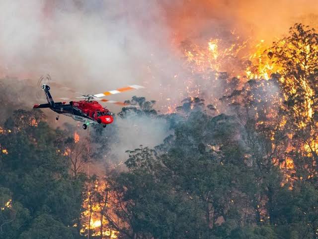 オーストラリア森林火災 メルボルンの状況と深刻化する風評被害 俺ボルン オーストラリア メルボルン旅行個人ガイド Yuki
