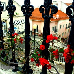 画像 Pics of Portugal ～ポルトガル、サウダーデ（郷愁）の記録～ の記事より 1つ目